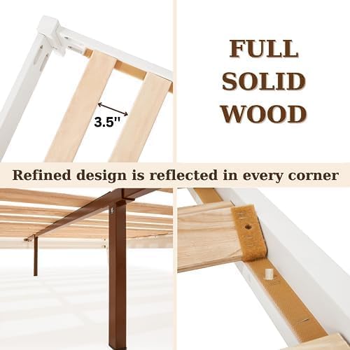 Dinkee Basic Bed Frame Without headboard - Ivory White - King