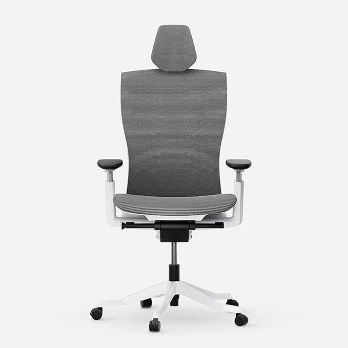 Autonomous ErgoChair Ultra 2 Ergonomic Office Chair Mesh Grey Adjustable Lumbar Support, Rolling Swivel - Home Office Desk Chairs with Headrest & Arms - Ergonomic Desk Chair Comfy for Gaming & Office