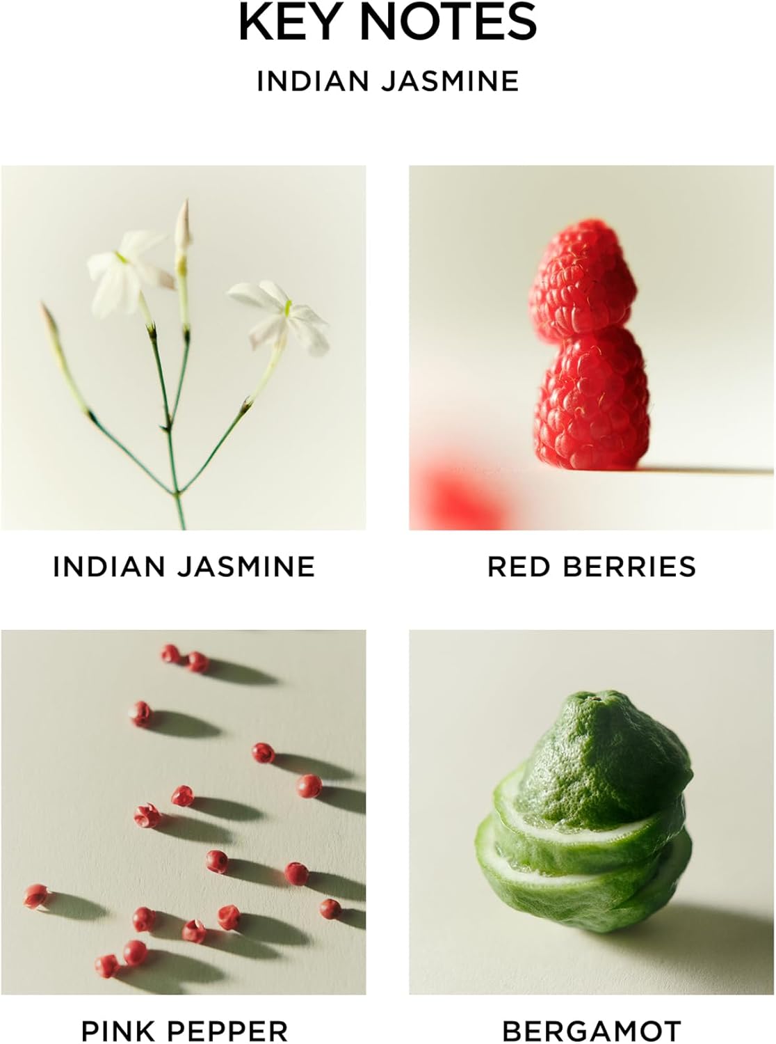 NEST New York Reed Diffuser, Indian Jasmine - 5.9 fl oz - Fragrance for Up to 90 Days - Reusable, Refillable Glass Holder - Includes 8 All-Natural Reed Sticks - Flame Free