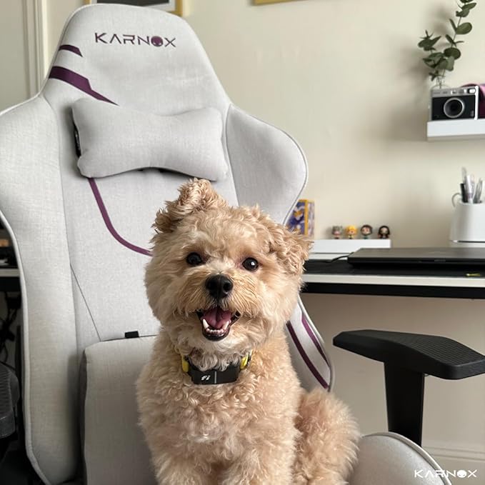 KORNOX Ergonomic Gaming Chair Fabric for Adults,Office Chair High Back,Game Chair Cloth Height Adjustable for Teens,Game Chair Racing with Headrest and Lumbar Support for Girl,White and Purple