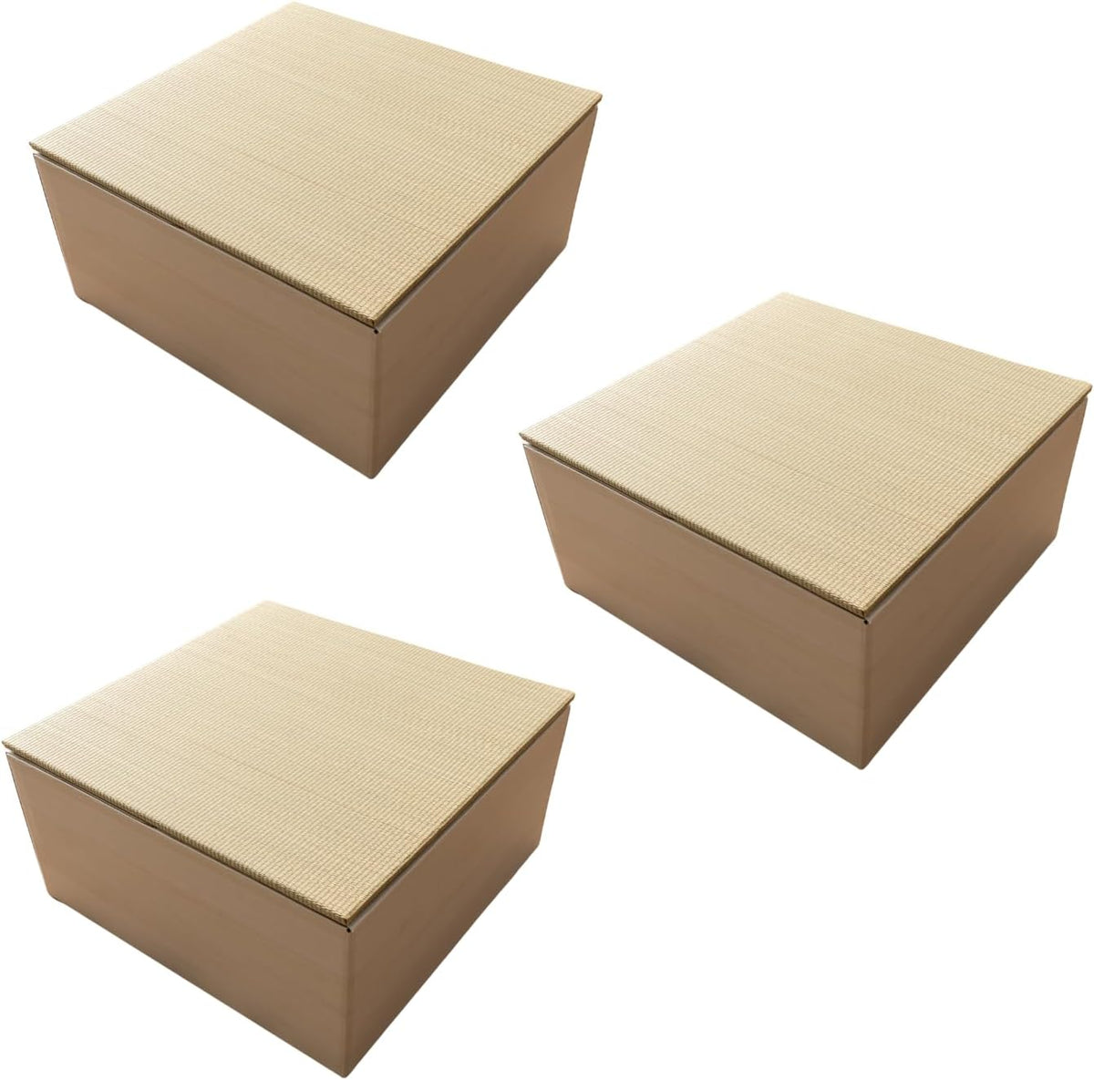 BJDesign Square Tatami Bench and Raised Platform Unit | Japanese Style Igusa Rush Grass Top | Wood Grain White, 24x24x11.6in | Easy Assembly, Durable | 3 Set