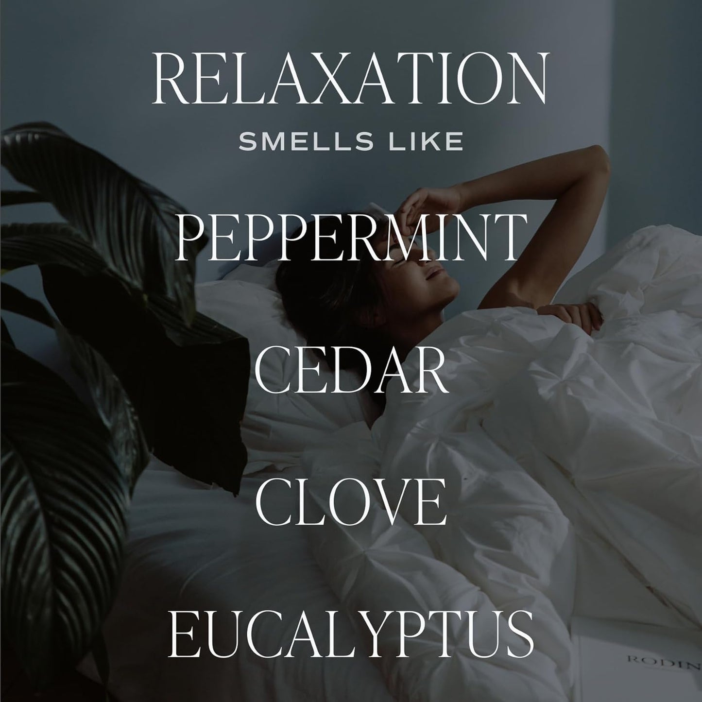 Sweet Water Decor Relaxation Reed Diffuser – Room Decor Aesthetic with Long-Lasting Premium Fragrance of Eucalyptus, Cedar, Patchouli, Vanilla 4 Months – Ideal for Aromatherapy and Home Decor