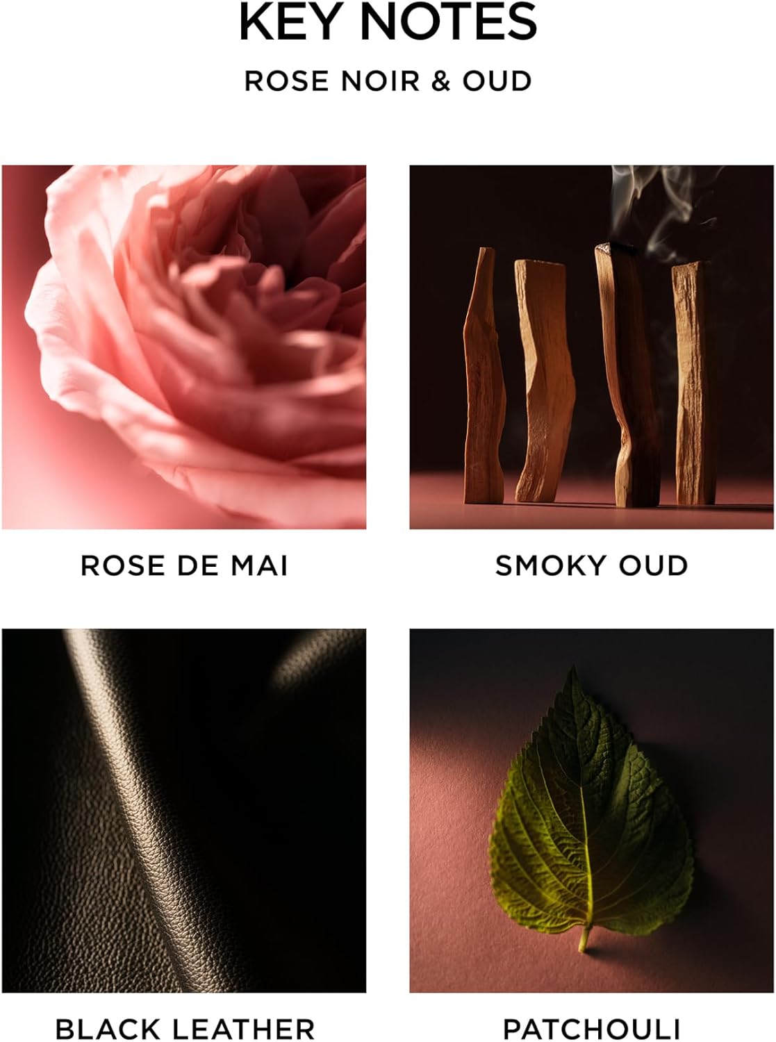 NEST New York Reed Diffuser, Rose Noir & Oud - 5.9 fl oz - Fragrance for Up to 90 Days - Reusable, Refillable Glass Holder - Includes 8 All-Natural Reed Sticks - Flame Free