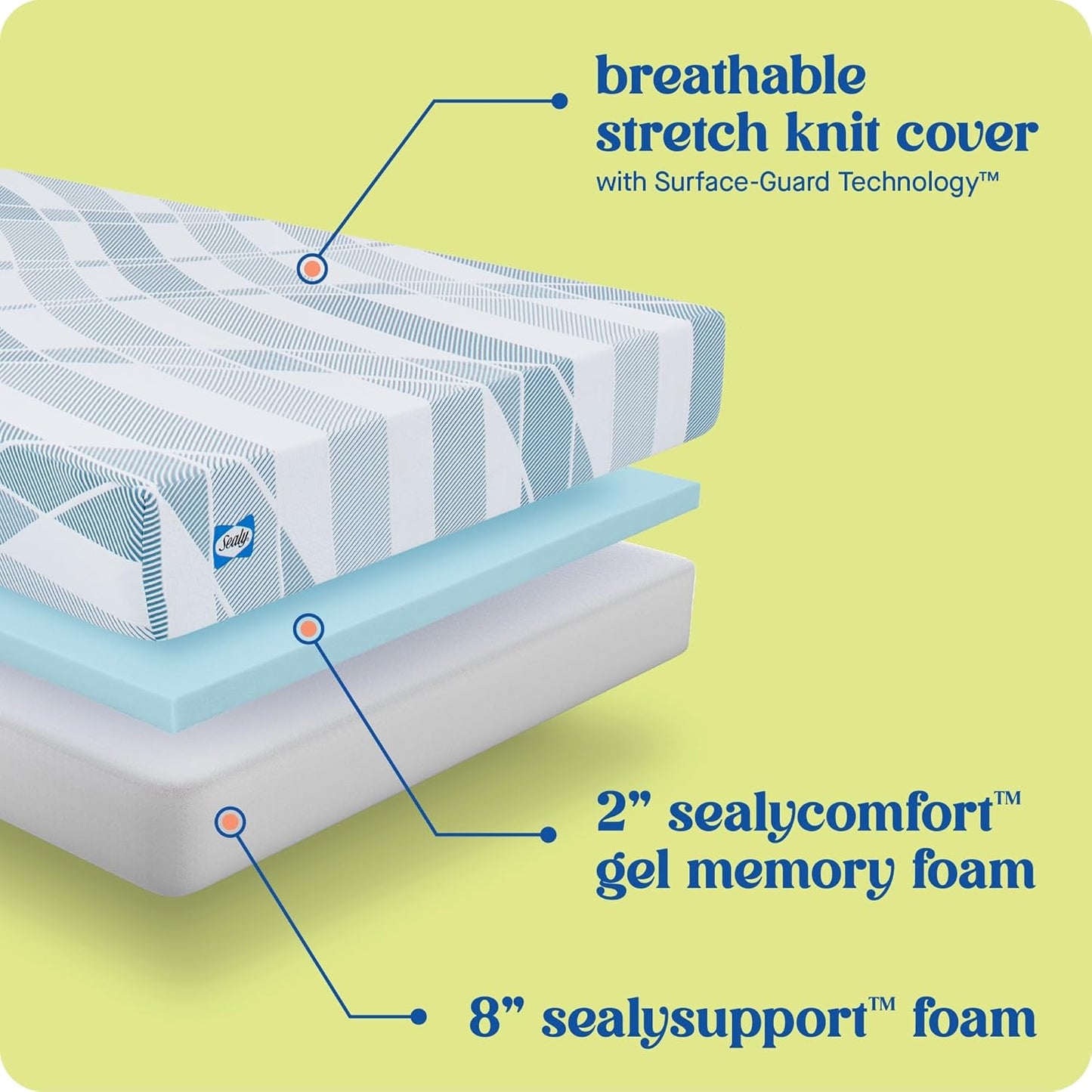 Sealy Dreamlife 10” Foam Mattress-in-a-Box, Queen, SealyComfort Gel Memory Foam, Surface-Guard Technology, 10 Year Limited Warranty, Made in The USA