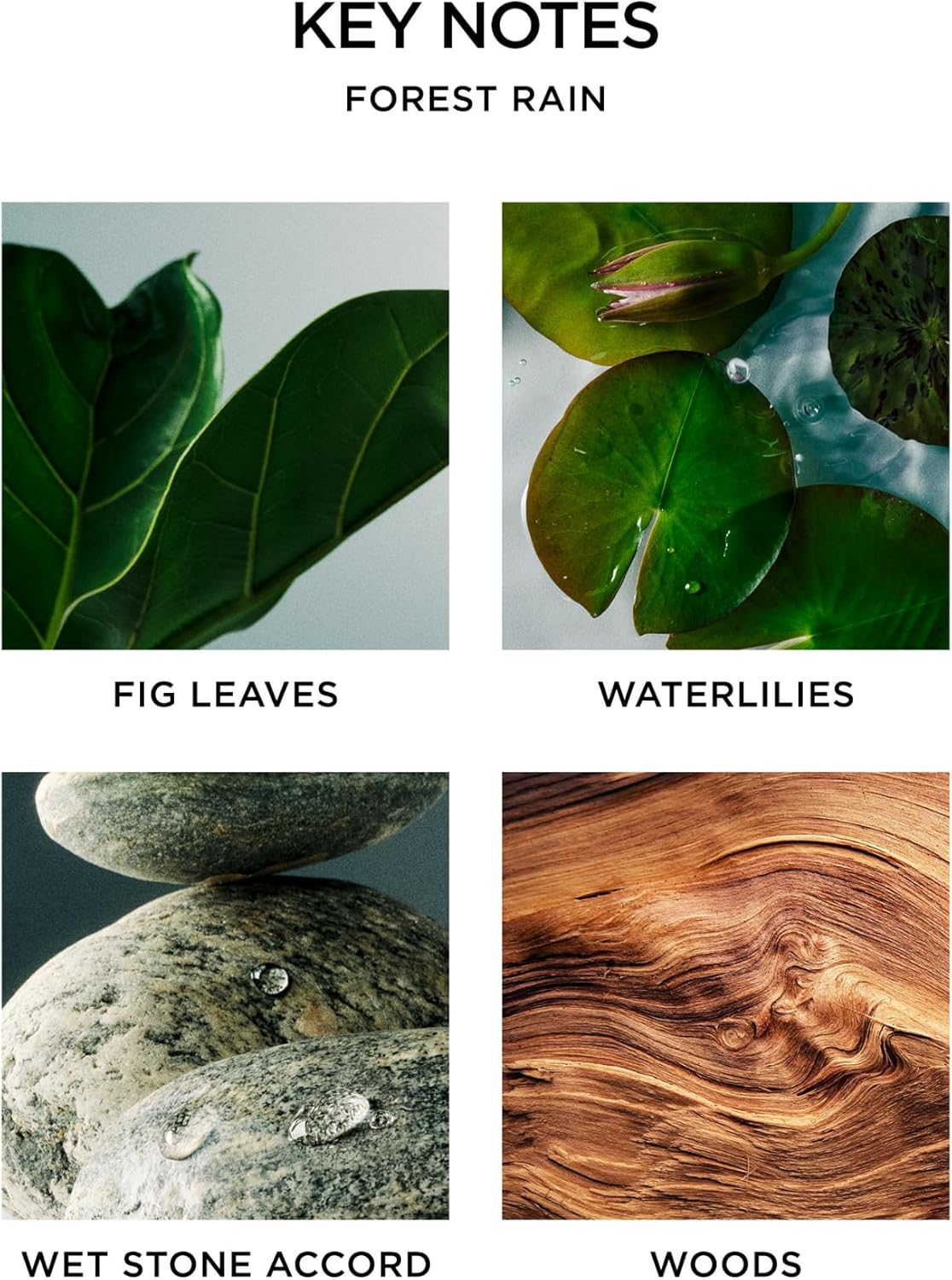 Nest New York Reed Diffuser, Forest Rain - 5.9 fl oz - Fragrance for Up to 90 Days - Reusable, Refillable Glass Holder - Includes 8 All-Natural Reed Sticks - Flame Free