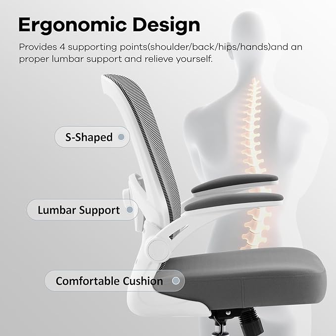 Office Chair,Ergonomic Mesh Desk Chair with Adjustable Lumbar Support,Computer Chair with Flip-up Armrests, Rolling Executive Chairs, Home Office Chair(Grey)