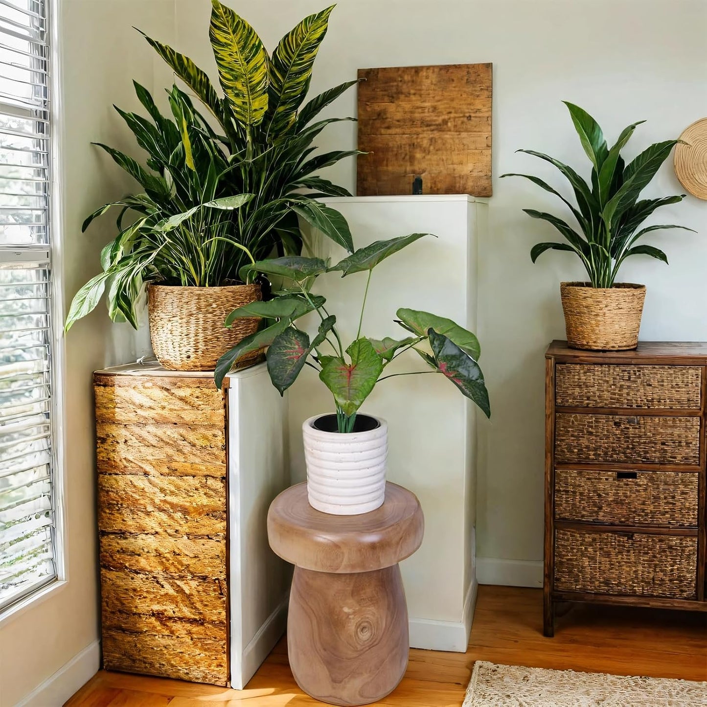TORMAYS HOME Handmade Wood Side Table Tree Stump End Table Solid Wood Stool Plant Stand Rustic Coffee Table Nightstand for Living Room Bedroom Balcony Garden (Natural Color)