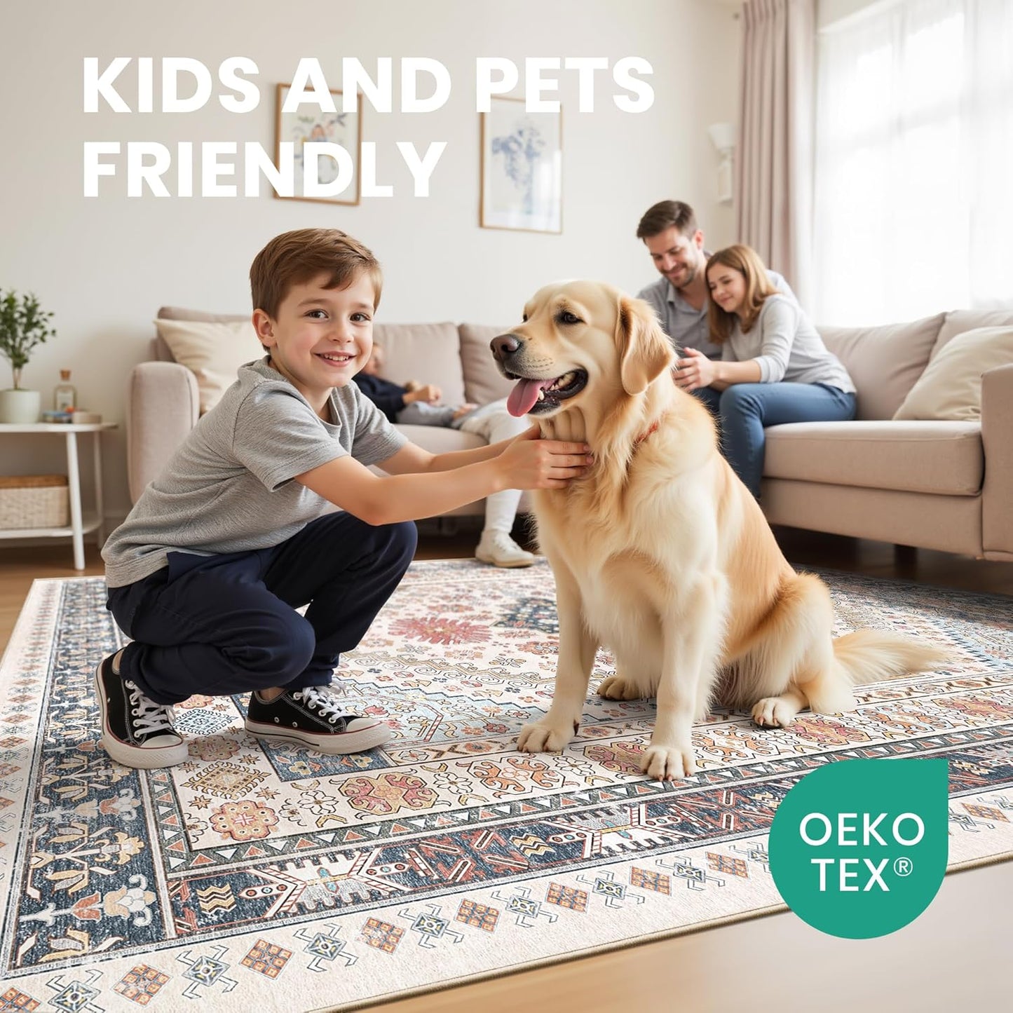 zesthome 6x9 Area Rug, Super Soft Washable Rugs for Living Room, Non-Slip Stain Resistant Vintage Rugs, Ultra-Thin Large Area Rugs (Multi,6'x9')