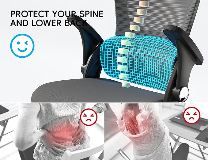 TRALT Office Chair - Ergonomic Office Chair with Back Support, Home Office Desk Chairs, 330lbs Wide Seat Big and Tall Office Chairs, Comfy Desk Chair for Work, Study, Office, Gaming (Black Grey)