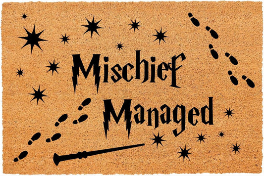 Funny Coir Doormat Magical Fantasy Front Door Mat Entryway Indoor and Outdoor Mat with Heavy Duty Front Porch Decor Welcome Mats for Entrance Way Decor Natural Coconut Thick Brown Mat 23.7x15.7 inch