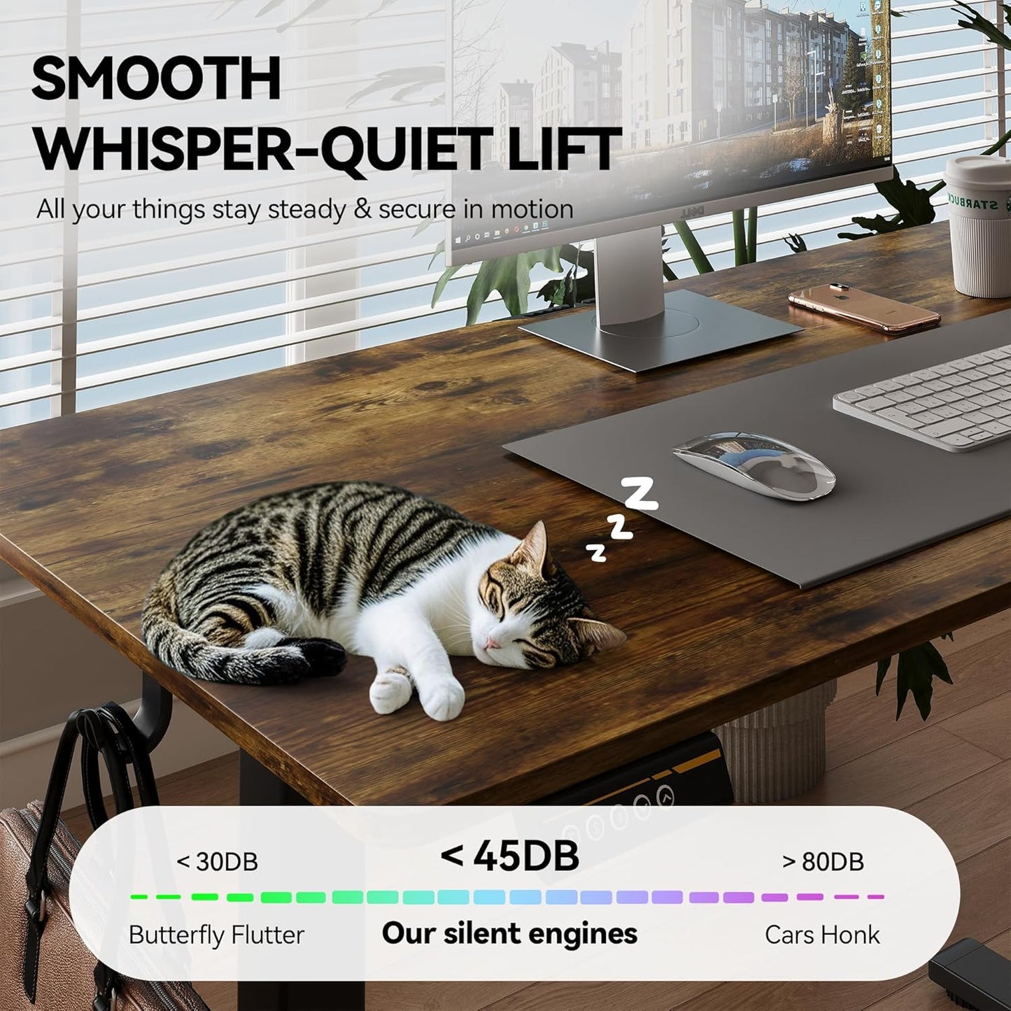 Electric Standing Desk Adjustable Height Stand Up Desk Ergonomic Sit Stand Desk for for Work Office Home Computer Desk Workstation (Rustic Brown C65, 48 * 24)