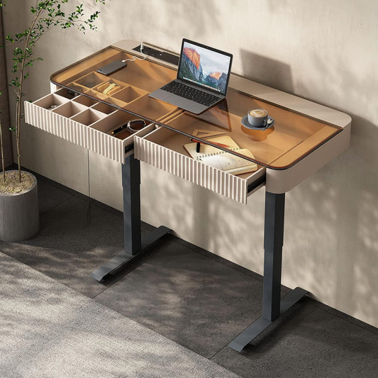 Lartis Office Desk, Electric Computer Lift Table Standing Desk with Drawer Charging USB Port, Home Office Laptop Table with Drawer