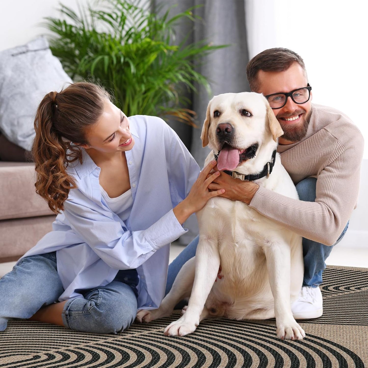 Lahome Modern Rainbow Easy Jute 6x9 Rug, Large Living Room Carpet Washable Outdoor Patio Dining Room Rug, Non Slip Indoor Outdoor Carpet for Backyard Deck Office Decor