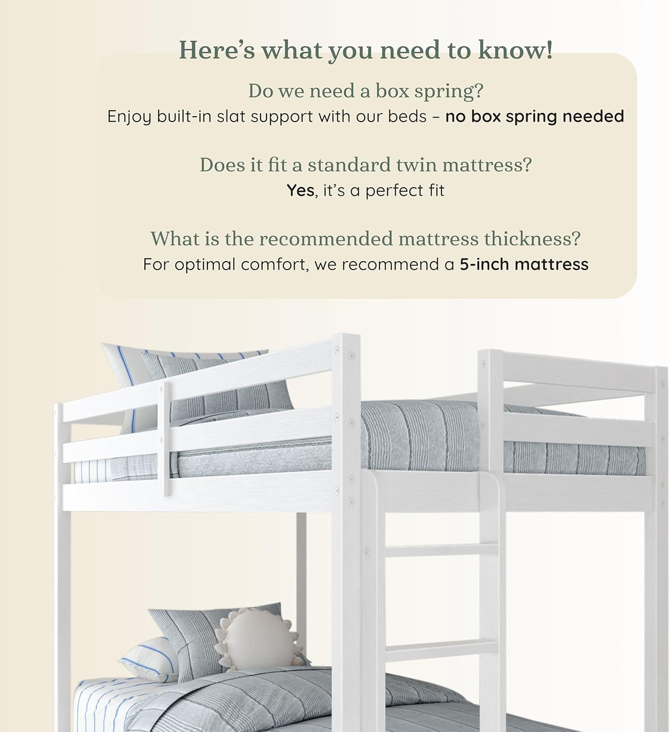 Grain & Grove Bear Twin Over Twin Bunk Bed, Sturdy Bunk Bed Frame for Kids, Plywood Bunk with Ladder, Guardrail, and Slats, No Box Spring Required, Brushed White