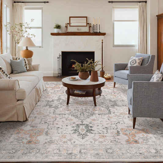 GENIMO 6x9 Area Rugs for Living Room, Machine Washable Low Pile Rugs, Chenille Non Alip Vintage Rug for Bedroom, Dining Room, Home Office, Light Taupe Brown
