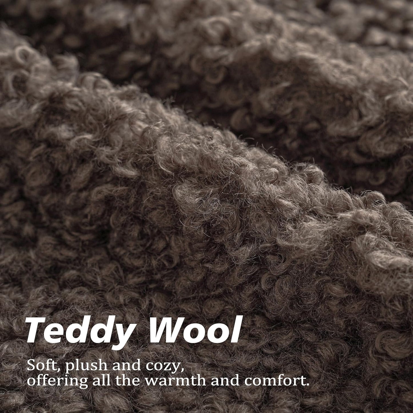 Foindtower Set of 2 Curly Teddy Wool Pillow Covers Decorative Boucle Textured Lumbar Throw Pillow Faux Fur Pillowcases Sheepskin Cushion Case for Sofa Bedroom Car 12"x20" Chocolate