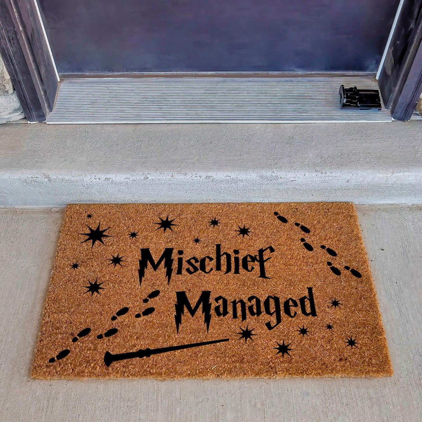 Funny Coir Doormat Magical Fantasy Front Door Mat Entryway Indoor and Outdoor Mat with Heavy Duty Front Porch Decor Welcome Mats for Entrance Way Decor Natural Coconut Thick Brown Mat 23.7x15.7 inch