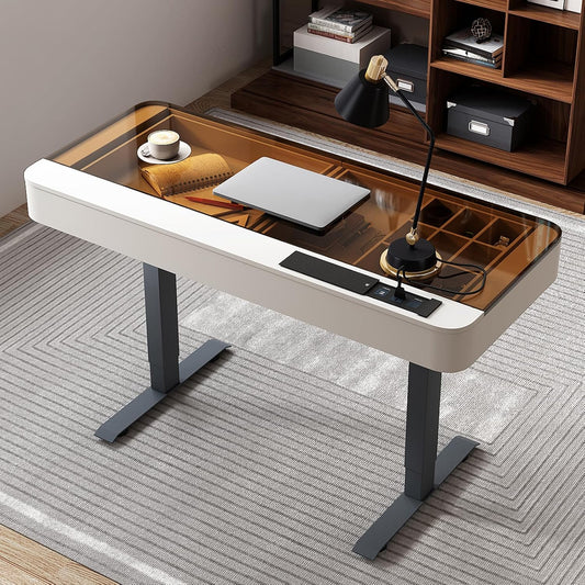 Lartis Office Desk, Electric Computer Lift Table Standing Desk with Drawer Charging USB Port, Home Office Laptop Table with Drawer
